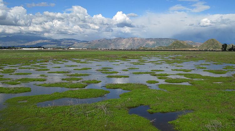 Upper Salt Creek Reserve